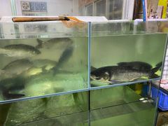 水产区-深圳柯记餐厅(大望店)
