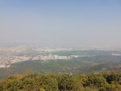 -紫金山山顶公园