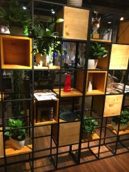 -藤野造型·专业烫染店