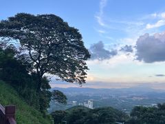 -黄埔油麻山森林公园