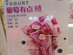 -CHAO'S艾炒酸奶·冰糖葫芦(兰州中心店)