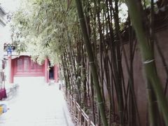 -罔极寺