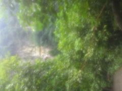 -华蓥山天意谷景区