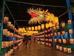 -珠海海泉湾神秘岛亲子乐园