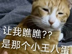 -瑞鹏宠物医院·骨科·猫科·内科(第一中心)