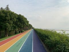 -贡湖湾湿地公园