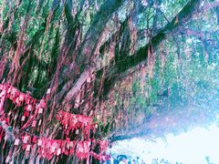 -江门古兜温泉小镇