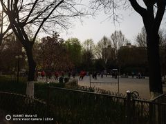 -丰台科技园生态主题公园