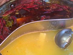 -捞围鲜·港式打边炉(海阳路店)