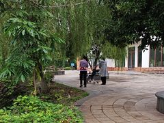 -张坝桂圆林公园