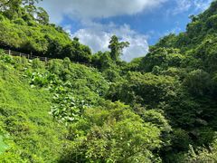 -海口火山口国家地质公园