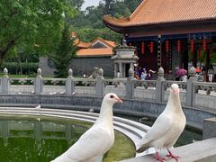 -顺峰山公园