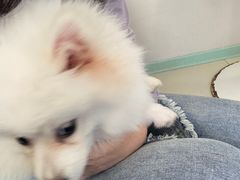 -怪兽屋·羊驼·猫咖·狗咖(俊华广场店)