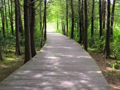 -溱湖国家湿地公园