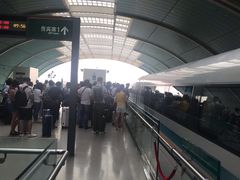 -龙阳路磁悬浮列车总站-停车场