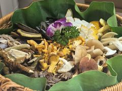 -野菌王•养生汤锅•野生菌火锅(大理漾濞路店)