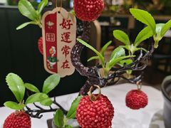 -椿记烧鹅(叠彩店)