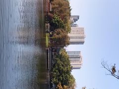-荔湾湖公园