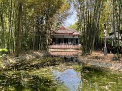 -望江楼公园