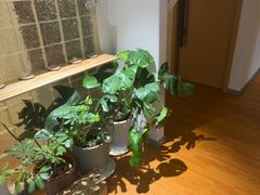 -沐森 •疗愈头疗馆(打浦桥店)