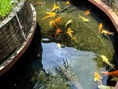 -侠成水上农庄(工业大道店)