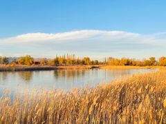 -野鸭湖国家湿地公园