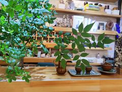-今日陶艺(富力广场店)