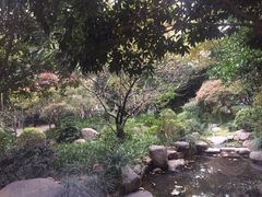 -新湖明珠城