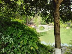 -铁山坪森林公园