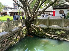 -墨池公园