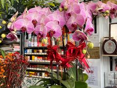 -FEI FEI FLOWER鲜花店·气球派对·宝宝宴布置(虹口德必运动Loft店)