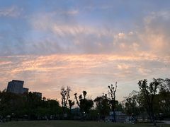 -新江湾城公园