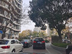 -新湖明珠城