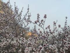 -辛安庄鸡鸣山景区
