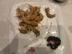 -大东海海鲜酒楼(渔人码头总店)