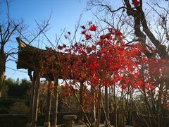 -塔川景区
