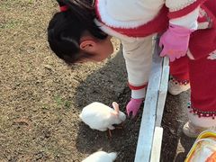 -前小桔亲子创意农场·草莓采摘·露营烧烤