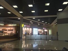 -谢列梅捷沃国际机场