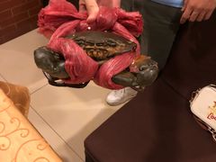 -秦记香辣蟹(松榆里店)