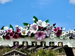 -贵州百里杜鹃风景名胜区