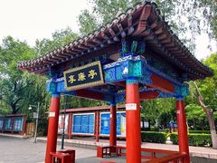 -莲花池公园