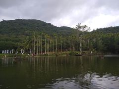 -呀诺达热带雨林