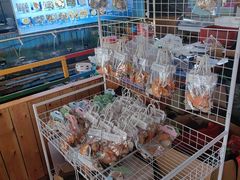 -蓝湾碧波·老字号·疍家非遗海上餐厅