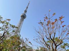 -文华公园(禅城区)