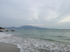 -广东惠东海龟国家级自然保护区