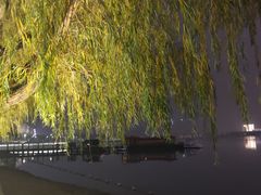 -天鹅湖体育公园