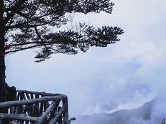 -瓦屋山景区