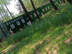 -秦皇岛野生动物园