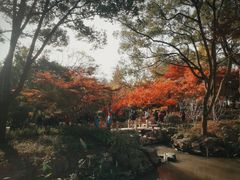 -秋霞圃
