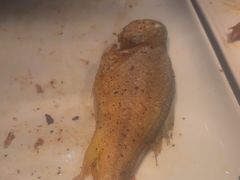 -顺德联塑万怡酒店·万荟轩自助餐厅